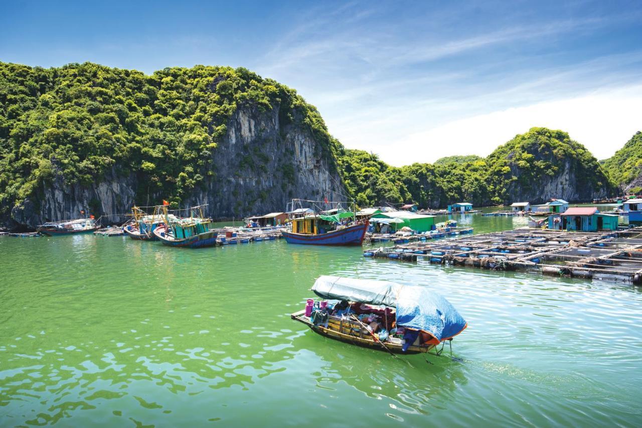 Sena Cruises - Wonder On Lan Ha Bay Hotel Ha Long Buitenkant foto
